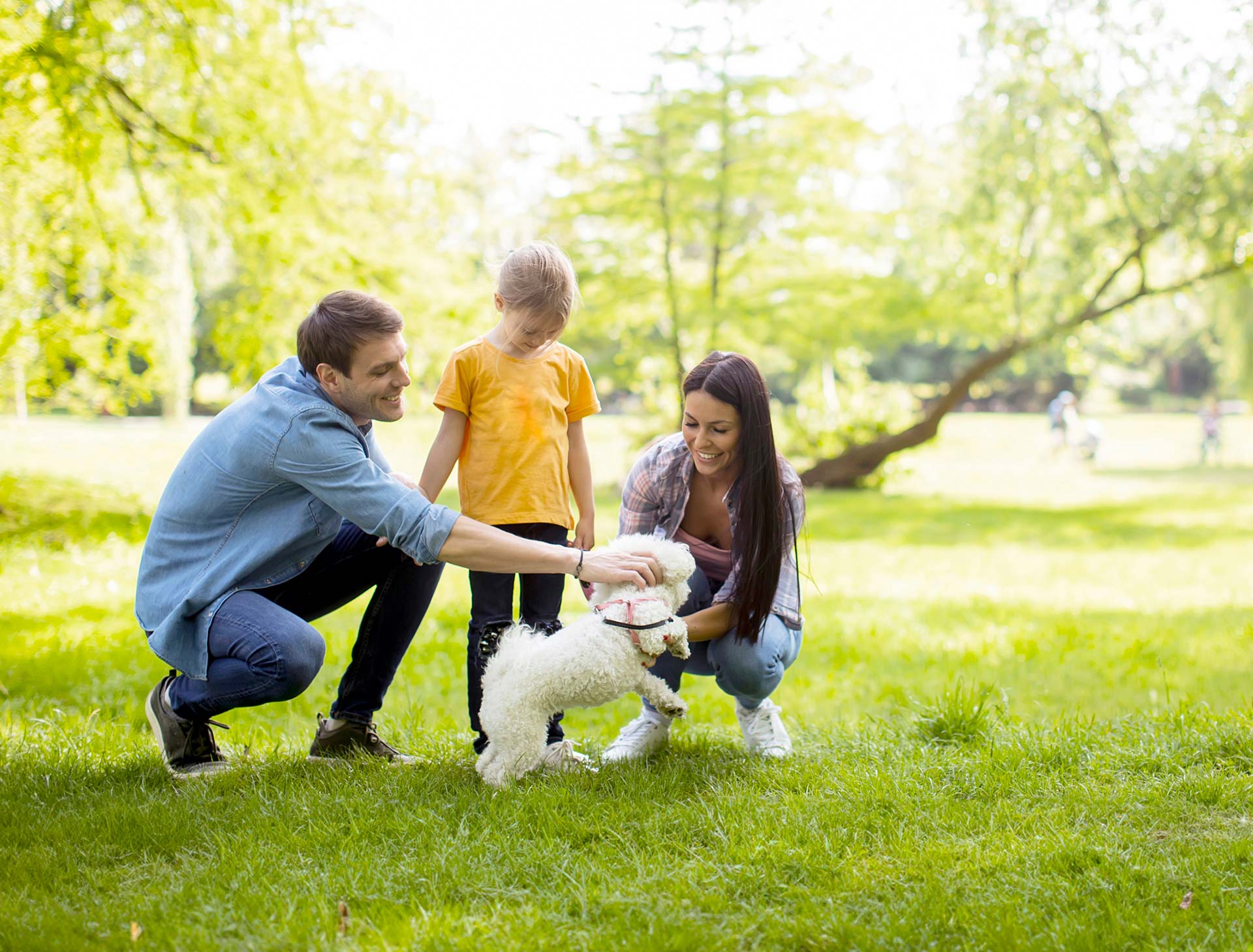 Creating a high-quality and sustainable development