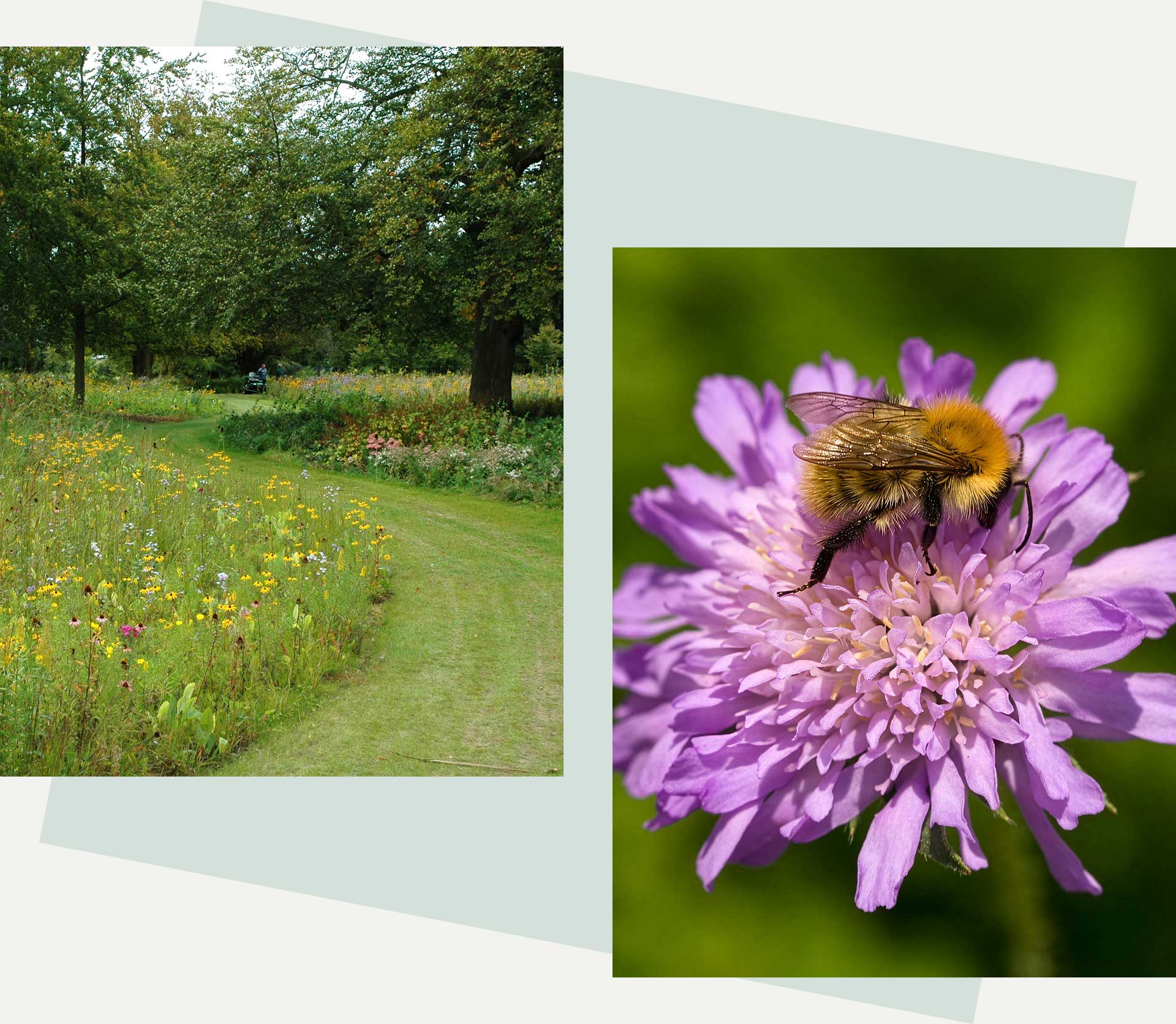 Landscape led design